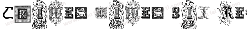 Crimes Times Six Reg字体转换
